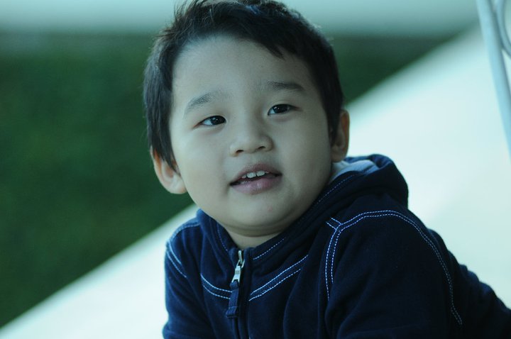 tê giác bố ơi mình đi đâu thế