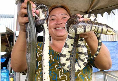 khô rắn