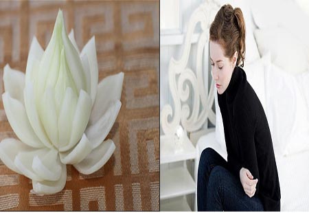 sức khỏe, ung thư, thực phẩm, mùa đông, rau củ, chăm sóc sức khỏe, nấu ăn