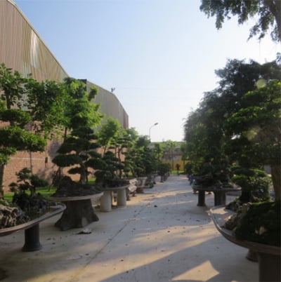Mô tả ảnh.