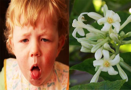 sức khỏe, chăm sóc sức khỏe, đau họng, kháng sinh, làm mẹ