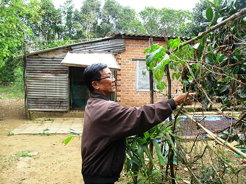 Mô tả ảnh.