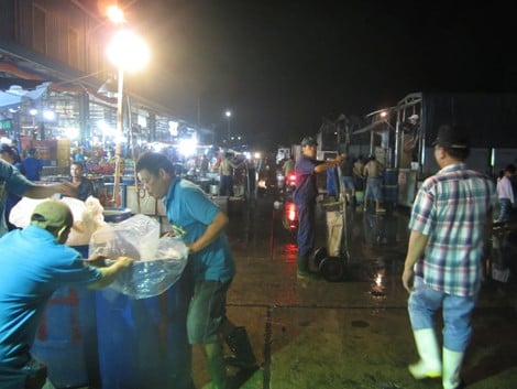 Mô tả ảnh.