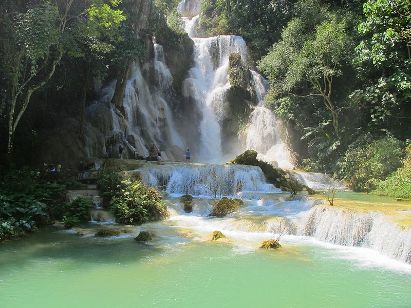 trang mat bui