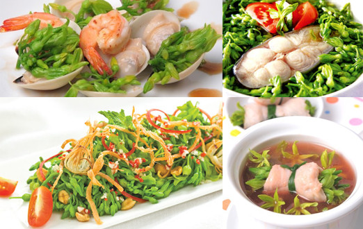 sức khỏe, chăm sóc sức khỏe, làm mẹ, Shbet0099 cá cược trực tuyến, hoa thiên lý, thực phẩm