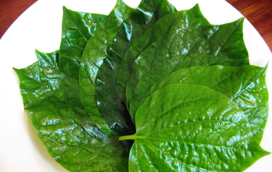 lá lốt nấu thịt bò