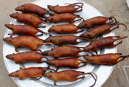 Mô tả ảnh.