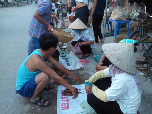 Mô tả ảnh.
