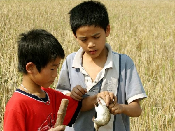 Mô tả ảnh.