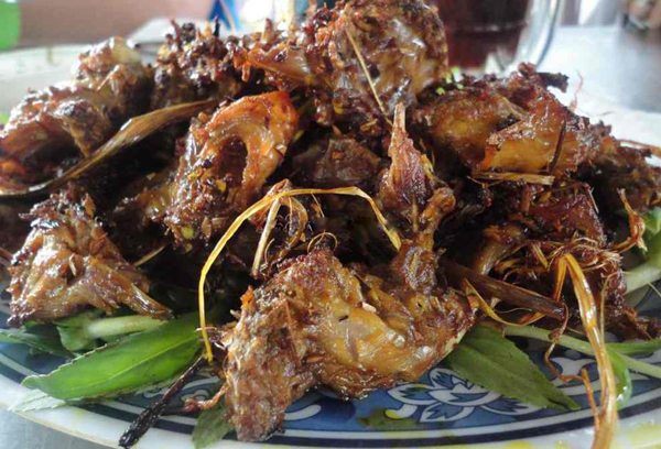 Mô tả ảnh.