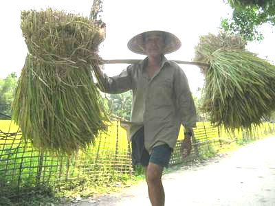 Mô tả ảnh.