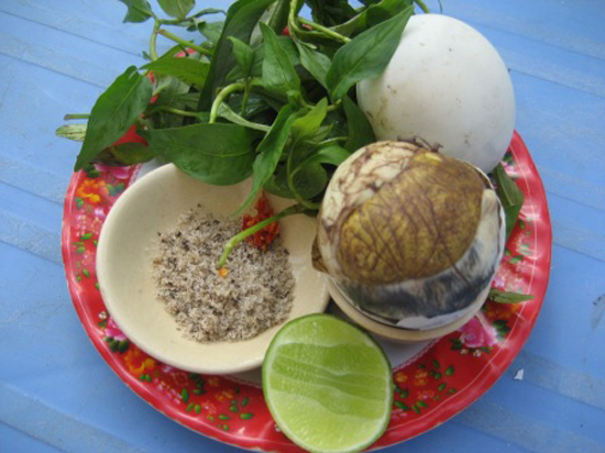 trung vit