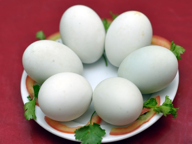 trứng vịt lộn