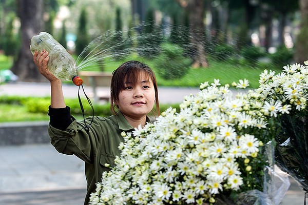 Mô tả ảnh.