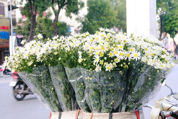 Mô tả ảnh.
