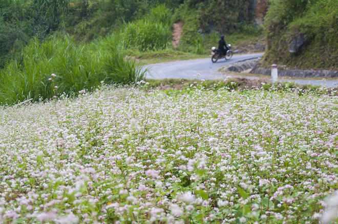 Mô tả ảnh.