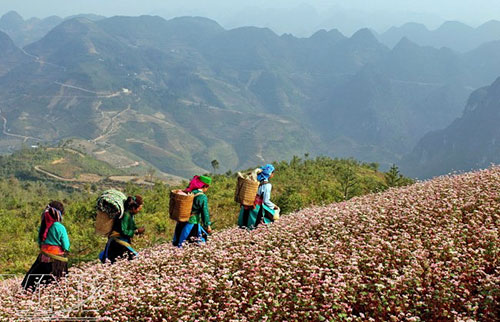 Mô tả ảnh.