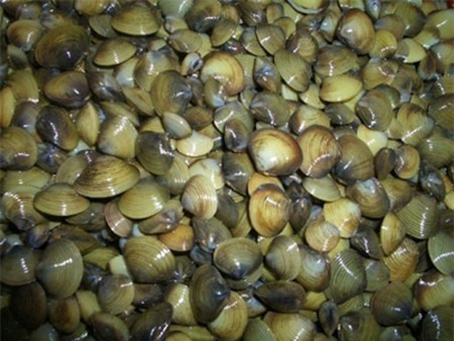 chọn trai hến