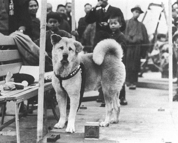 Mô tả ảnh.