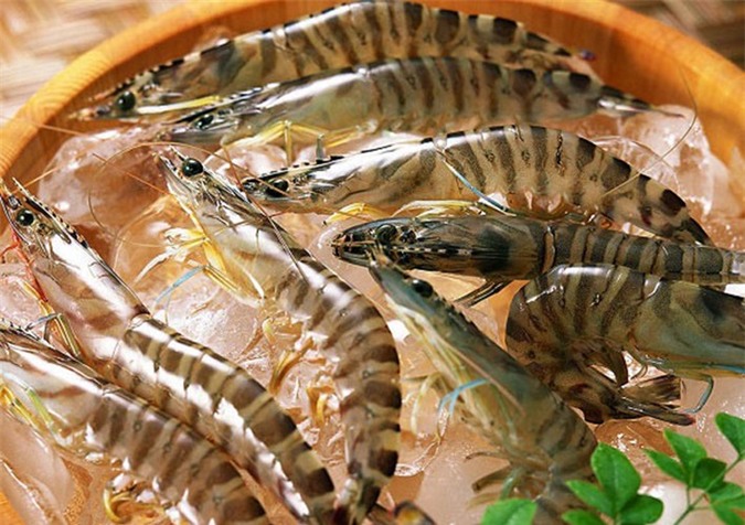 khử mùi tanh của tôm