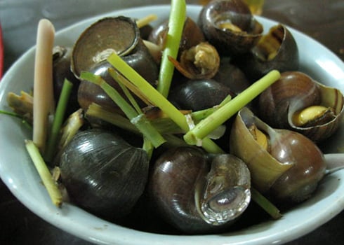 cách chọn ốc ngon