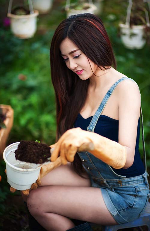 lu thuy vi