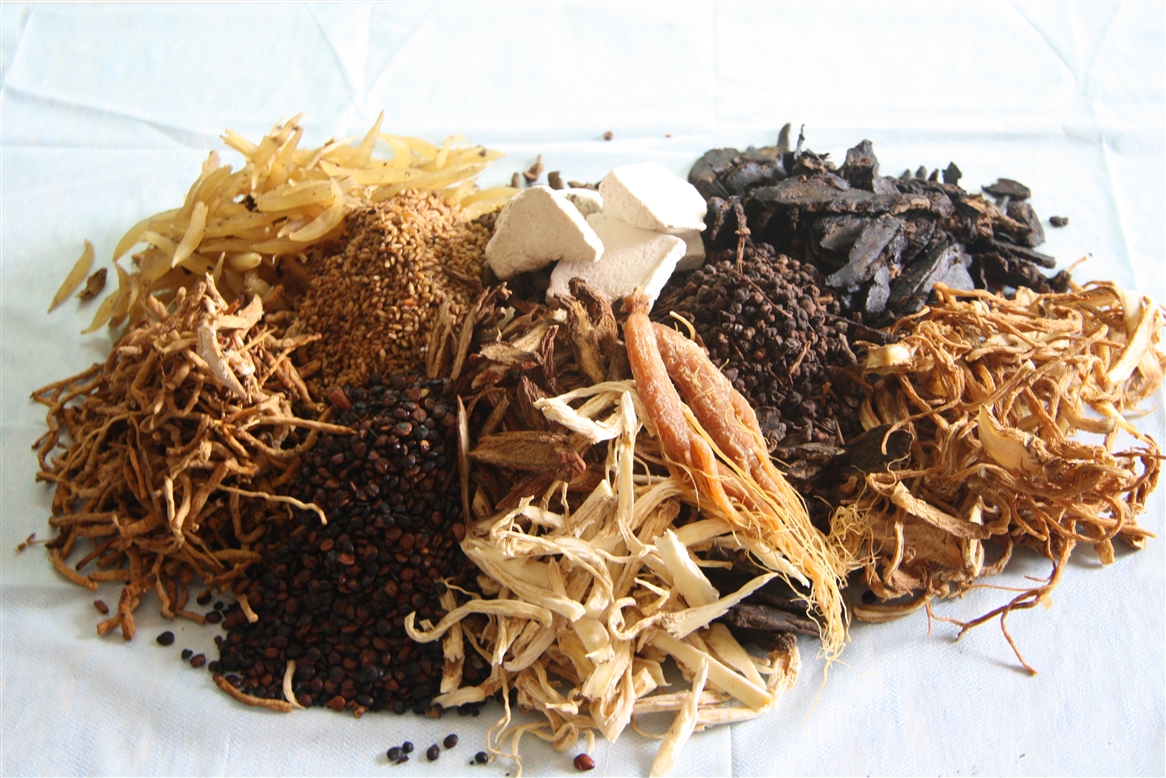 nguy hiểm chết người từ thuoc bắc