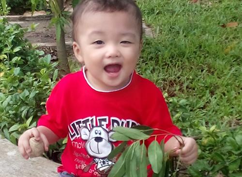 Mô tả ảnh.