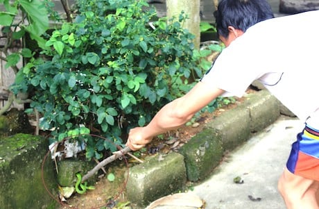 Mô tả ảnh.
