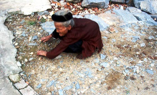 Mô tả ảnh.