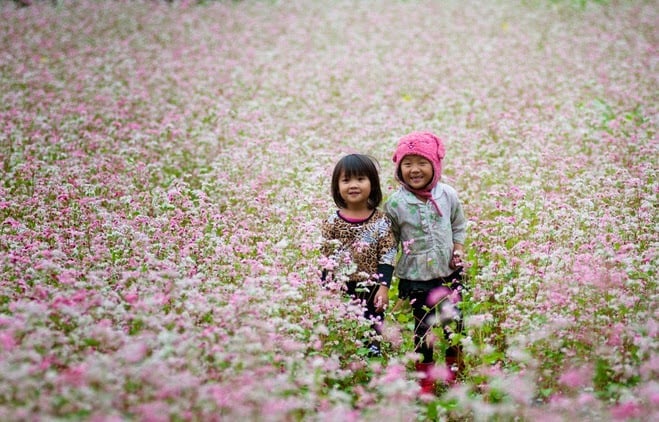 Mô tả ảnh.