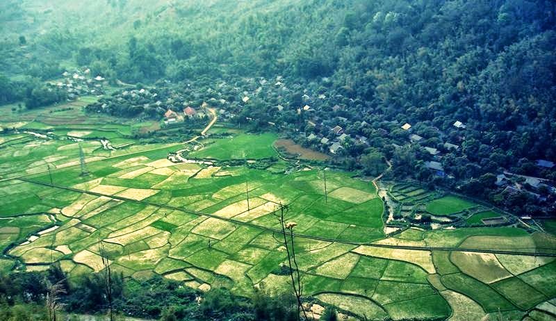 Mô tả ảnh.