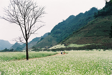 Mô tả ảnh.