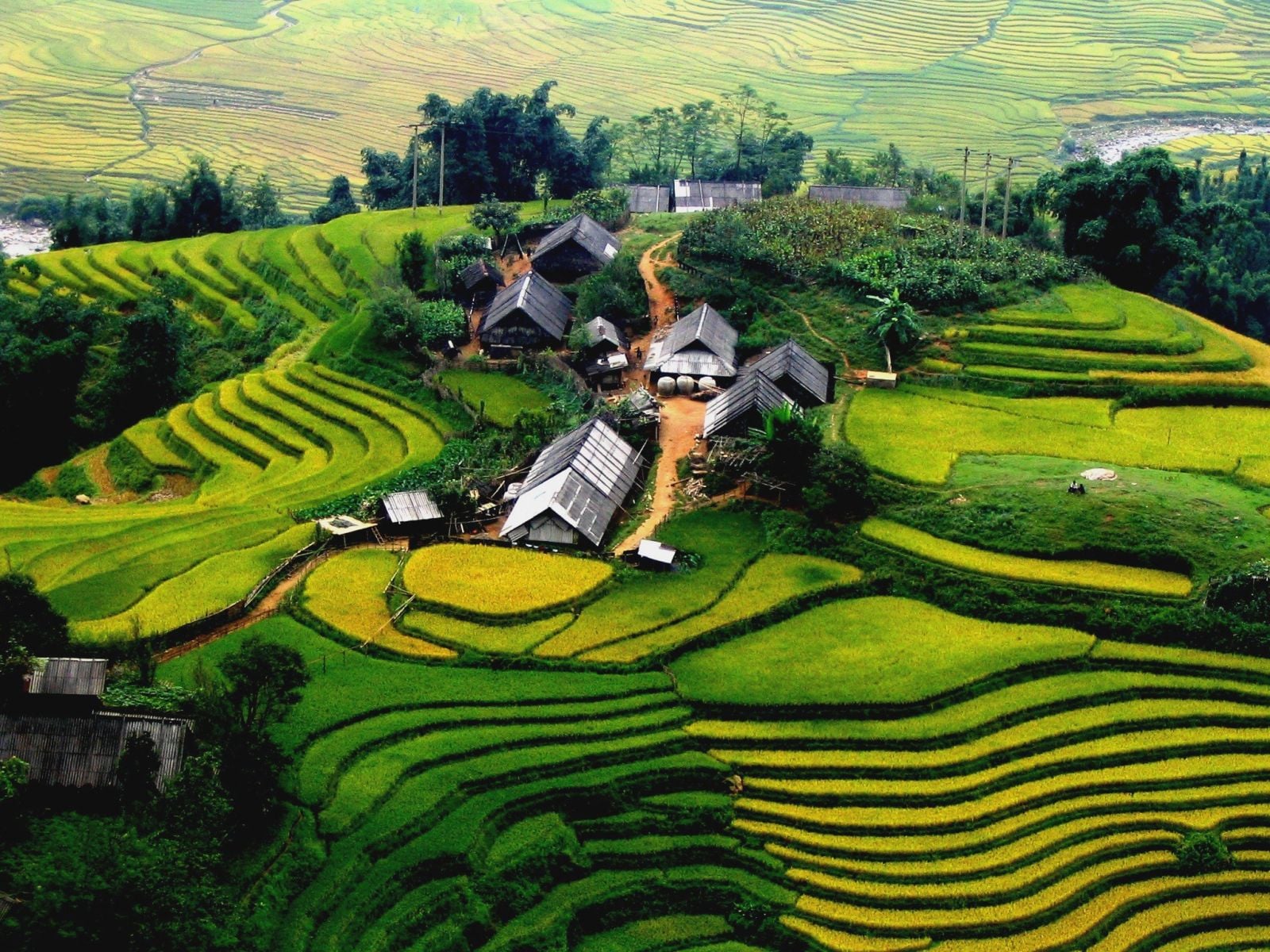 Mô tả ảnh.