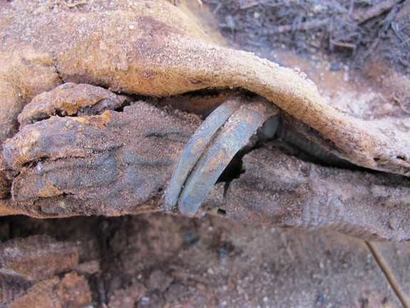 Mô tả ảnh.