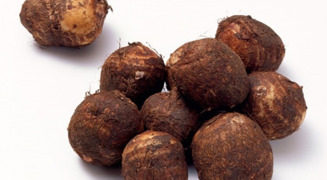 khoai sọ chữa bệnh
