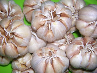 sai lầm khi dùng tỏi