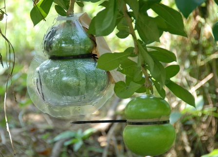 Mô tả ảnh.