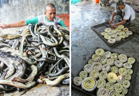 Mô tả ảnh.