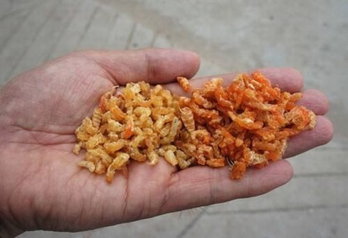Mô tả ảnh.