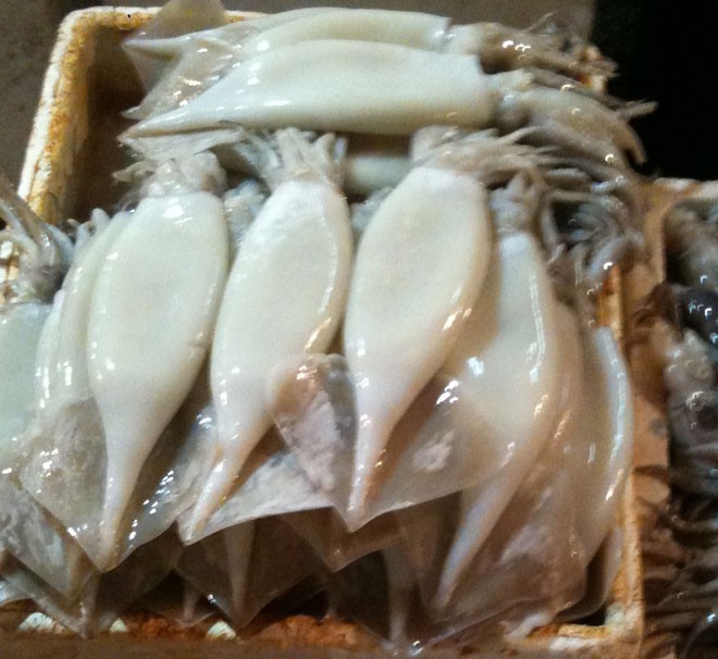 Mô tả ảnh.
