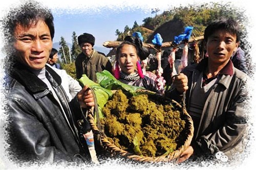 Mô tả ảnh.