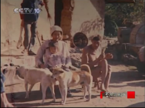 Mô tả ảnh.