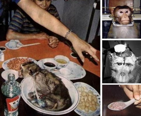 Mô tả ảnh.