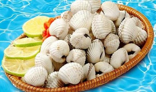 sức khỏe, hải sản, hoa quả, thực phẩm, Shbet0099 cá cược trực tuyến, Shbet111 slot, casino, thể thao, xổ số