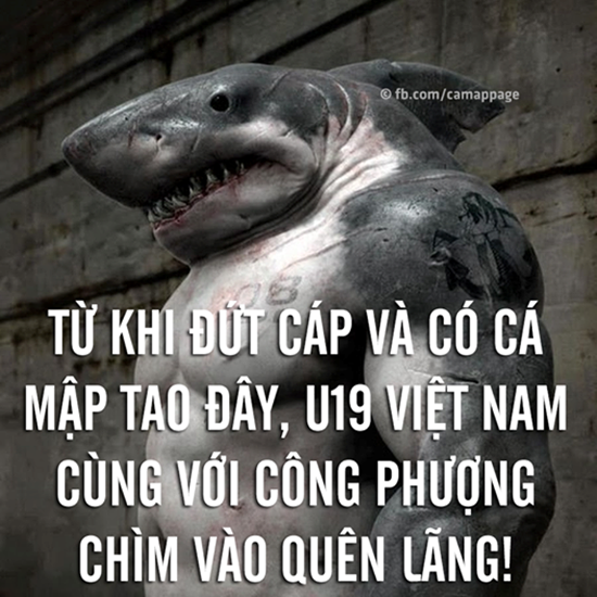 Mô tả ảnh.