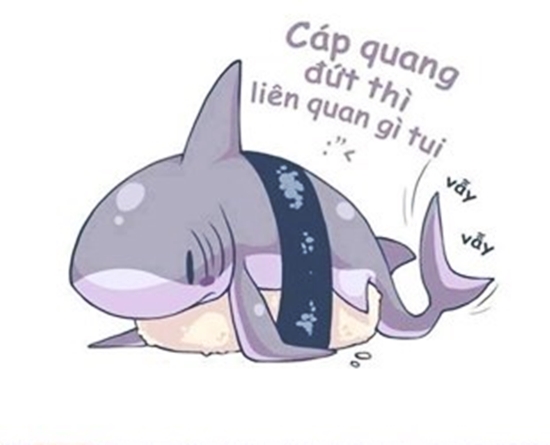 Mô tả ảnh.