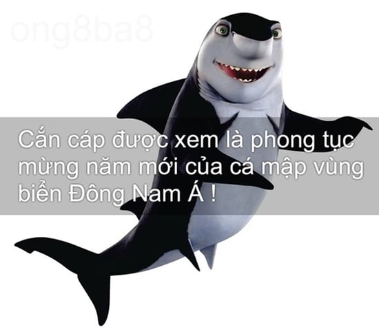 Mô tả ảnh.