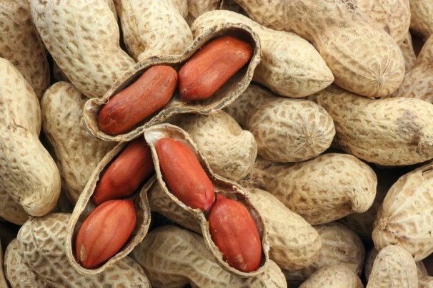 củ to vòng 1