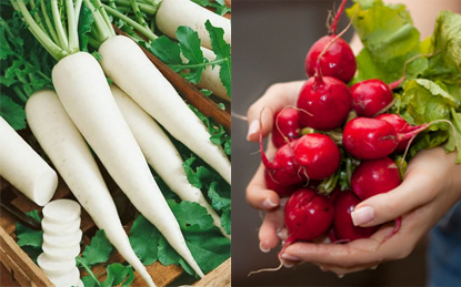 Bài thuốc dân gian chữa bệnh cực đơn giản, hiệu quả từ bưởi